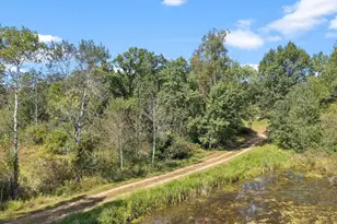 N8005 Ashley Rd, Portage, WI 53901 - Photo 5