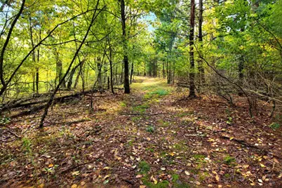 N7394 County Road B Road, Westfield, WI 53964 - Photo 69