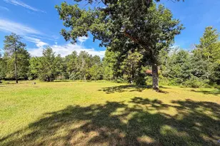 W1958 Dombek Rd, Lyndon Station, WI 53944 - Photo 61