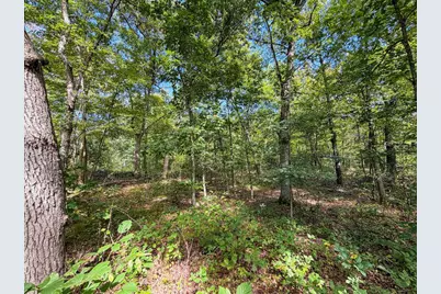 W1958 Dombek Road, Lyndon Station, WI 53944 - Photo 51
