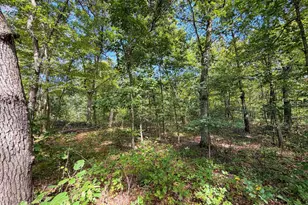 W1958 Dombek Rd, Lyndon Station, WI 53944 - Photo 51