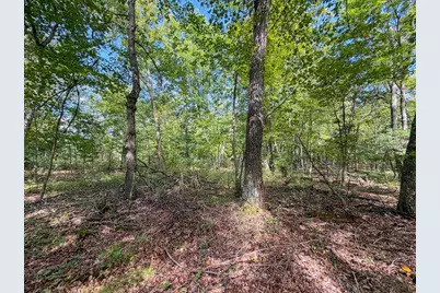 W1958 Dombek Road, Lyndon Station, WI 53944 - Photo 53