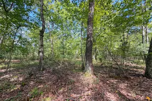 W1958 Dombek Rd, Lyndon Station, WI 53944 - Photo 53