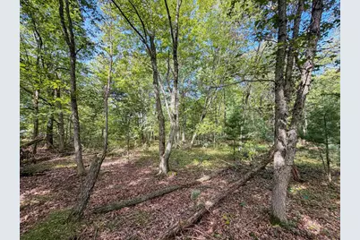 W1958 Dombek Road, Lyndon Station, WI 53944 - Photo 31