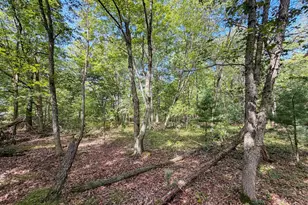 W1958 Dombek Rd, Lyndon Station, WI 53944 - Photo 31