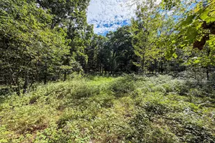 W1958 Dombek Rd, Lyndon Station, WI 53944 - Photo 49