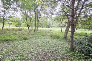 4211 Wilshire Ln, Janesville, WI 53546 - Photo 53
