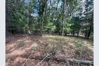 1802 W 13th Avenue, Friendship, WI 53934 - Photo 5