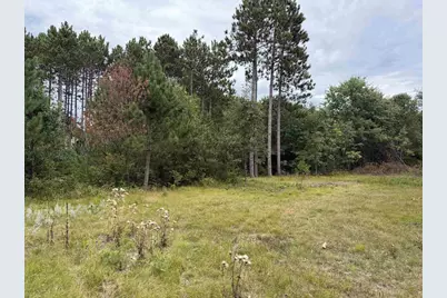 N13618 19th Avenue, Necedah, WI 54646 - Photo 7