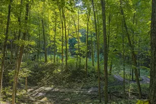 E10919 Hatchery Rd, Baraboo, WI 53913 - Photo 59