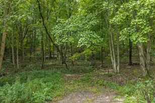 N259 County Rd Hh Rd, Lyndon Station, WI 53944 - Photo 39