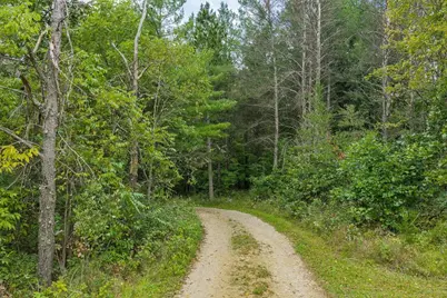 N259 County Rd Hh Road, Lyndon Station, WI 53944 - Photo 5