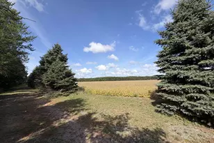 N3213 26th Ave, Lyndon Station, WI 53944 - Photo 39