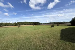N3213 26th Ave, Lyndon Station, WI 53944 - Photo 37