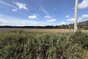 N3213 26th Ave, Lyndon Station, WI 53944 - Photo 45