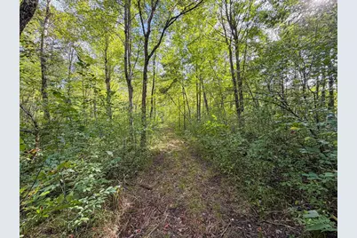 W5894 Wilson Lane, Necedah, WI 54646 - Photo 63