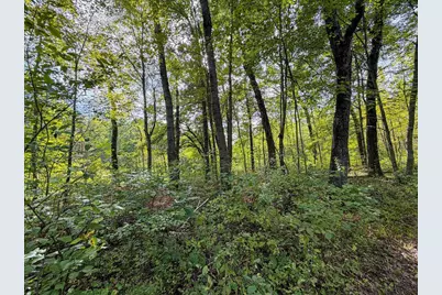 W5894 Wilson Lane, Necedah, WI 54646 - Photo 55