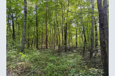 W5894 Wilson Lane, Necedah, WI 54646 - Photo 65