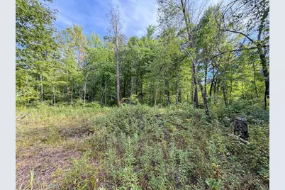 W5894 Wilson Lane, Necedah, WI 54646 - Photo 51