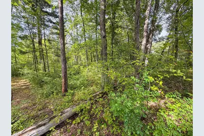 W5894 Wilson Lane, Necedah, WI 54646 - Photo 53