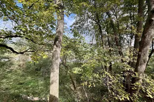 50244 Hwy 179, Steuben, WI 54657 - Photo 11