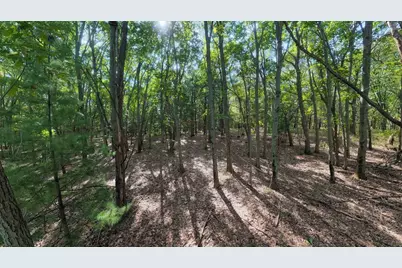 45.86Ac County Rd M, Westfield, WI 53964 - Photo 3