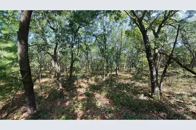 45.86Ac County Rd M, Westfield, WI 53964 - Photo 5