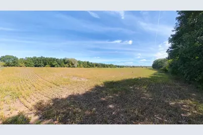 45.86Ac County Rd M, Westfield, WI 53964 - Photo 7