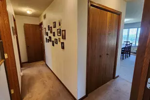 206 Hancock Dr, Orangeville, IL 61060 - Photo 15