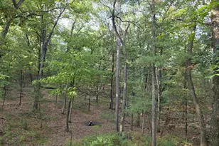 23538 Aspen Ave, Warrens,warrens, WI 54666 - Photo 21