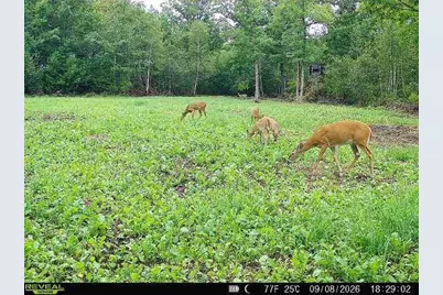 68+/- Acres Badger Avenue, Germantown, WI 54436 - Photo 33