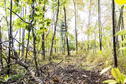 68+/- Acres Badger Avenue, Germantown, WI 54436 - Photo 67