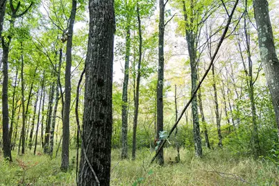 68+/- Acres Badger Avenue, Germantown, WI 54436 - Photo 69