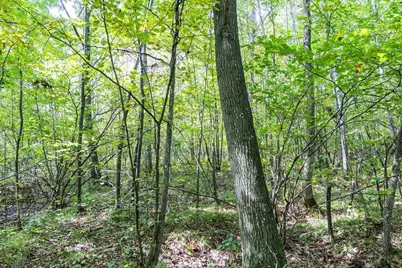 68+/- Acres Badger Avenue, Germantown, WI 54436 - Photo 63