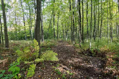 68+/- Acres Badger Avenue, Germantown, WI 54436 - Photo 17
