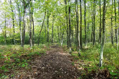 68+/- Acres Badger Avenue, Germantown, WI 54436 - Photo 19