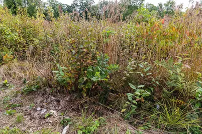 68+/- Acres Badger Avenue, Germantown, WI 54436 - Photo 61