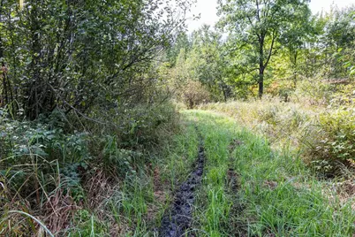 68+/- Acres Badger Avenue, Germantown, WI 54436 - Photo 71