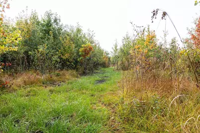 68+/- Acres Badger Avenue, Germantown, WI 54436 - Photo 55