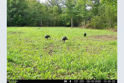 68+/- Acres Badger Avenue, Germantown, WI 54436 - Photo 9
