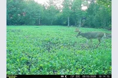 68+/- Acres Badger Avenue, Germantown, WI 54436 - Photo 3