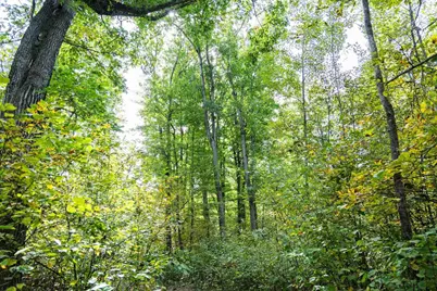 68+/- Acres Badger Avenue, Germantown, WI 54436 - Photo 75