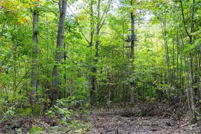 68+/- Acres Badger Avenue, Germantown, WI 54436 - Photo 81