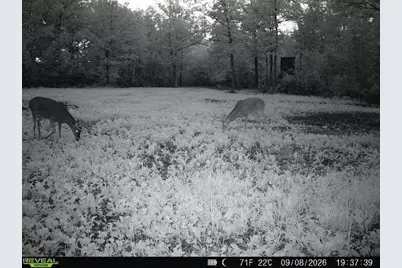 68+/- Acres Badger Avenue, Germantown, WI 54436 - Photo 27