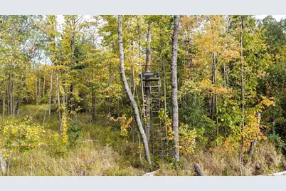 68+/- Acres Badger Avenue, Germantown, WI 54436 - Photo 37
