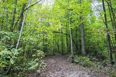 68+/- Acres Badger Avenue, Germantown, WI 54436 - Photo 79