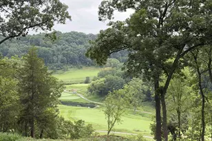 19 Cedar Rim Trail, Galena, IL 61036 - Photo 13