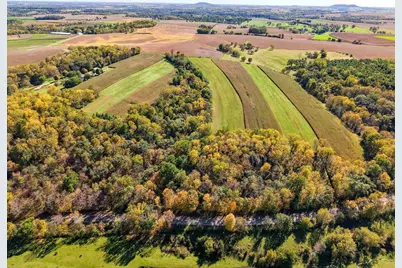 850 Cook-Mcfall Road, Rewey, WI 53580 - Photo 7