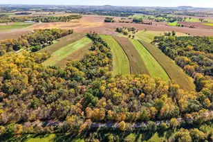 850 Cook-McFall Rd, Rewey, WI 53580 - Photo 7