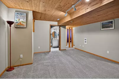 311 Springview Drive, Marshall, WI 53559 - Photo 33